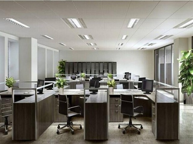 广州心理咨询师资料